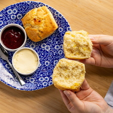 株式会社エルワールドのプレスリリース画像2