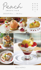 株式会社エルワールドのプレスリリース画像18