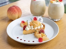 株式会社エルワールドのプレスリリース画像15