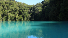 Alii Palauのプレスリリース画像1