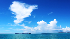 Alii Palauのプレスリリース画像2