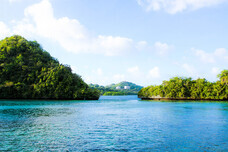 Alii Palauのプレスリリース画像6