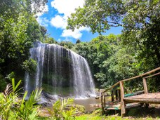 Alii Palauのプレスリリース画像3