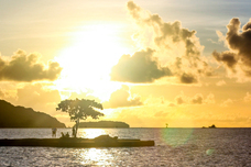 Alii Palauのプレスリリース画像4