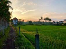 有限会社わたきのプレスリリース画像2