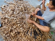 有限会社わたきのプレスリリース画像4