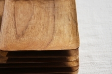 有限会社わたきのプレスリリース画像3