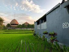 有限会社わたきのプレスリリース画像6