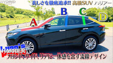 株式会社モルフォのプレスリリース画像3