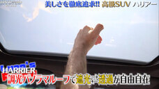 株式会社モルフォのプレスリリース画像6