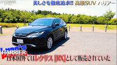 株式会社モルフォのプレスリリース画像2