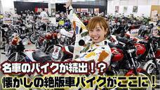 株式会社モルフォのプレスリリース画像1