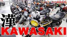 株式会社モルフォのプレスリリース画像3