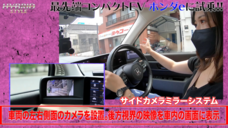 株式会社モルフォのプレスリリース画像3