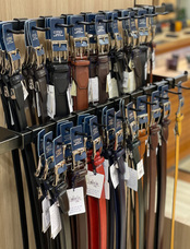 株式会社モルフォのプレスリリース画像4