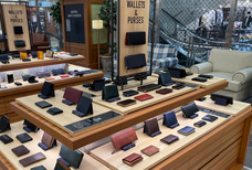 株式会社モルフォのプレスリリース画像3