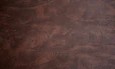 株式会社モルフォのプレスリリース画像2