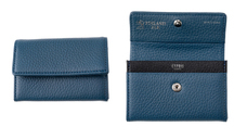 株式会社モルフォのプレスリリース画像4