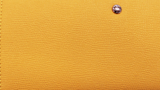 株式会社モルフォのプレスリリース画像2