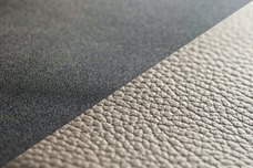 株式会社モルフォのプレスリリース画像8