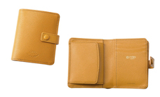 株式会社モルフォのプレスリリース画像6