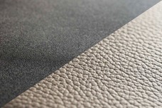 株式会社モルフォのプレスリリース画像8