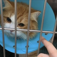 桜井　菜央のプレスリリース画像1