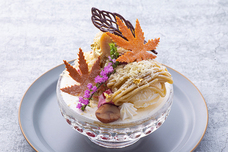 マーケットクリエイティブ株式会社 Season&amp;Co.のプレスリリース画像1