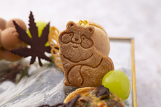 マーケットクリエイティブ株式会社 Season&amp;Co.のプレスリリース画像1