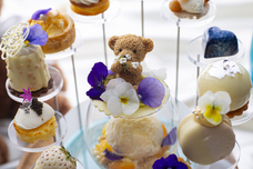 マーケットクリエイティブ株式会社 Season&amp;Co.のプレスリリース画像1