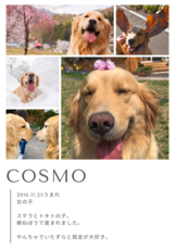 ペンション朝ねぼうのプレスリリース画像1