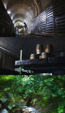 株式会社ワード・ローブのプレスリリース画像3