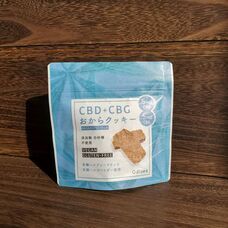 株式会社Odiseaのプレスリリース画像9