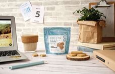 株式会社Odiseaのプレスリリース画像2