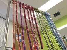 一般社団法人日本ホームヘルスコーチ協会のプレスリリース画像1