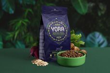 株式会社レティシアンのプレスリリース画像3