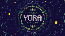 株式会社レティシアンのプレスリリース画像6