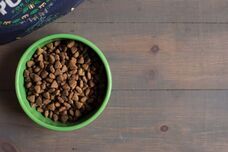 株式会社レティシアンのプレスリリース画像2