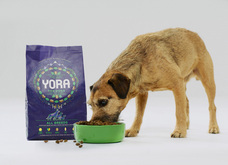 株式会社レティシアンのプレスリリース画像4