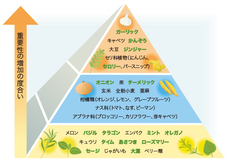 有限会社マジカルエッグのプレスリリース画像3