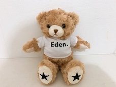 室崎明子のプレスリリース画像2