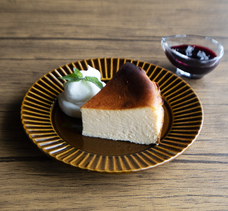 株式会社SKBピュアのプレスリリース画像6