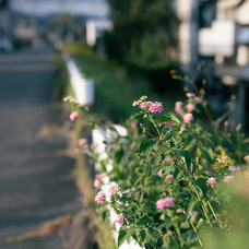 mag design labo.のプレスリリース画像6