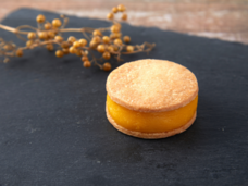 「しあわせのおすそ分け」プロジェクトのプレスリリース画像1