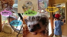 株式会社クラフトライフのプレスリリース画像1