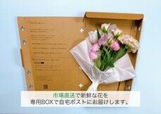 株式会社Itのプレスリリース画像1