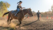 一般社団法人　武道振興会のプレスリリース画像3