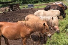 一般社団法人　武道振興会のプレスリリース画像2