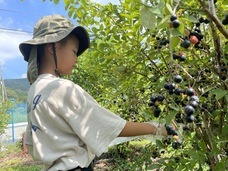 株式会社ヒューモニーのプレスリリース画像6