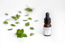 Sie inc.のプレスリリース画像3